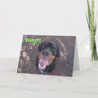 Heidi Rottweiler Puppy Burping Birthday Card