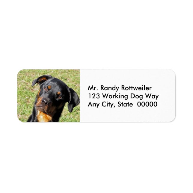 Heidi Rottweiler Return Address Labels (Front)