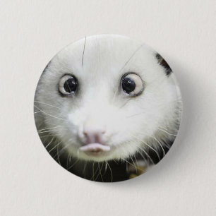 Heidi The Cross Eyed Opossum 2 Inch Round Button