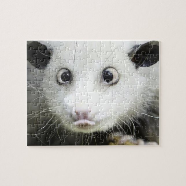 Heidi The Cross Eyed Opossum Jigsaw Puzzle (Horizontal)