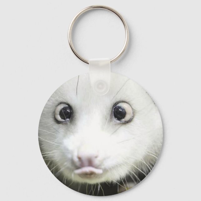 Heidi The Cross Eyed Opossum Keychain (Front)