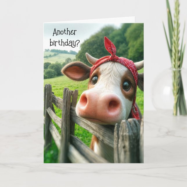 Heifer Cow Birthday Humour Card (Front)