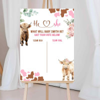 Heifer or Bull Cow Gender Reveal Voting board