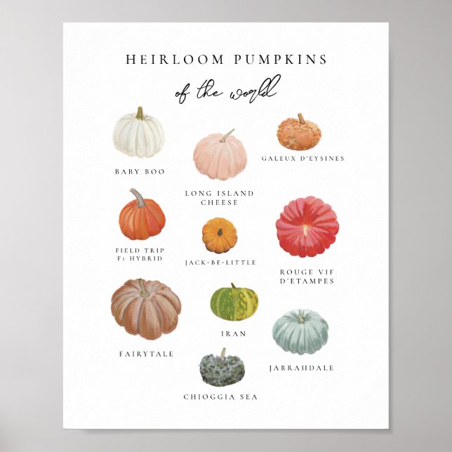 Heirloom Pumpkins Art Print (Front)