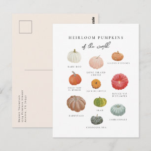 Heirloom Pumpkins Fall Postcard