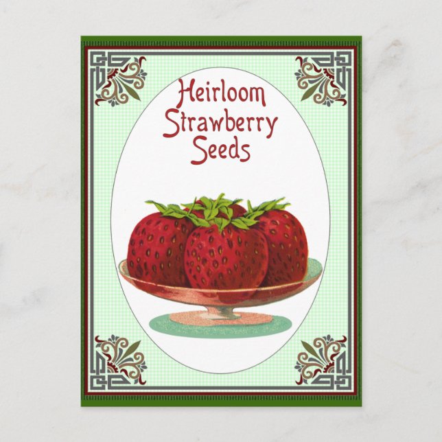 Heirloom Strawberry Seeds Postcard (Front)