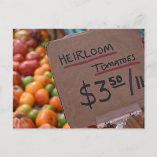 Heirloom Tomatoes Greenmarket Farmer's Market NYC Postcard