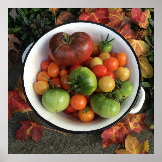 Heirloom Tomatoes Poster (Front)