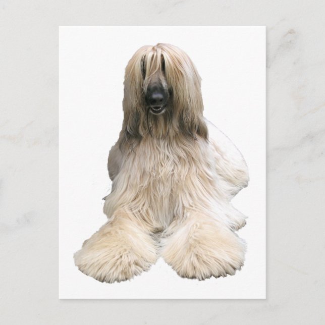 Helaine's Afghan Postcard (Front)