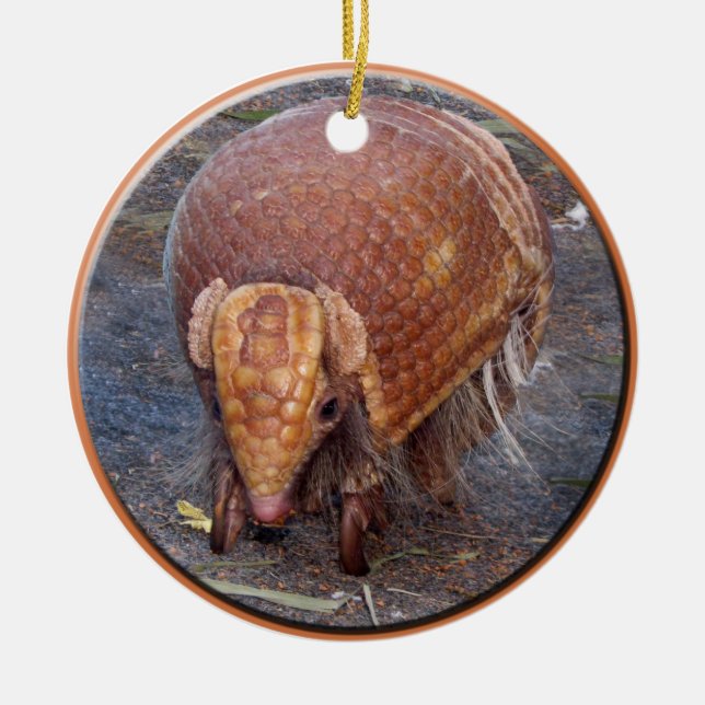 Helaine's Armadillo Ceramic Ornament (Front)