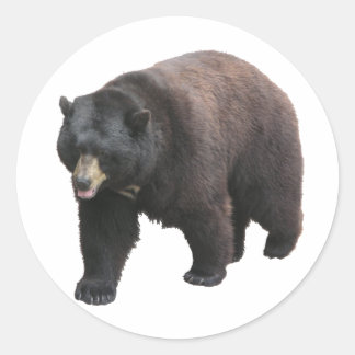 Helaine's Bear Classic Round Sticker