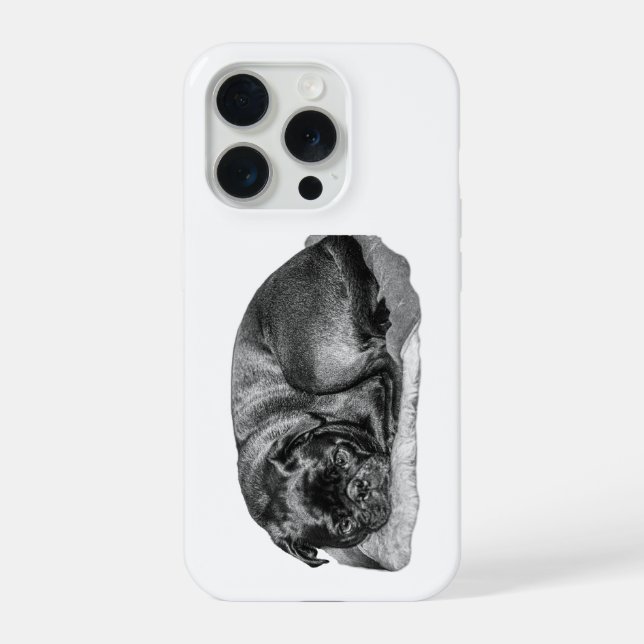 Held with Trust iPhone Case (Back)