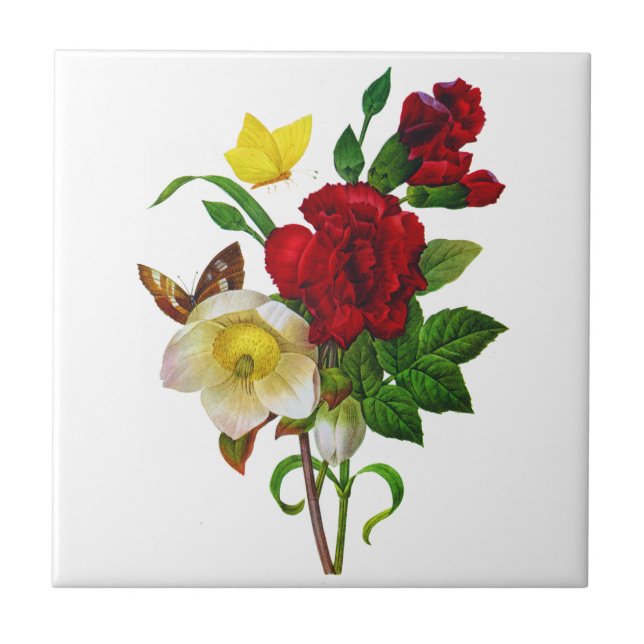 Helebore, Christmas Rose by Pierre Joseph Redoute Tile (Front)