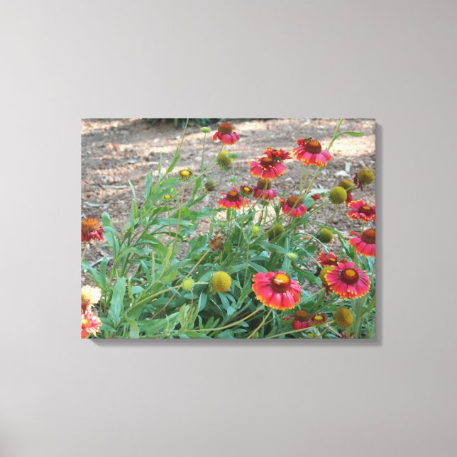 Helenium flowers canvas print (Front)