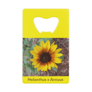 Helianthus Annuus bottle opener Credit Card Bottle Opener
