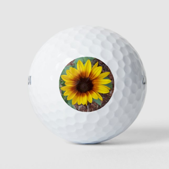 Helianthus Annuus Golf Balls (Front)