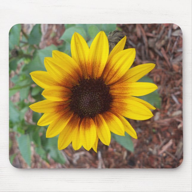 Helianthus Annuus Mouse Pad (Front)