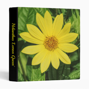 Helianthus 'Lemon Queen' (1in) Binder