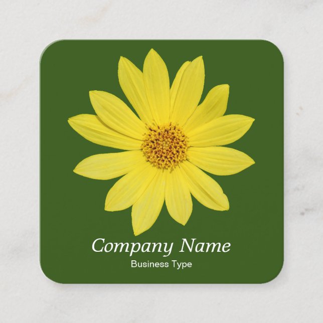 Helianthus 'Lemon Queen' Sunflower - Forest Green Square Business Card (Front)