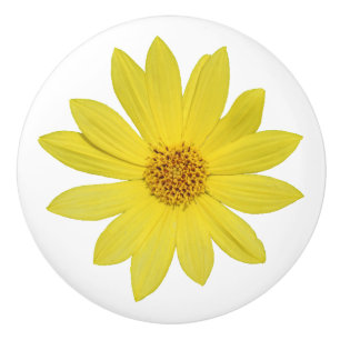 Helianthus 'Lemon Queen' Sunflower (isolated) Ceramic Knob