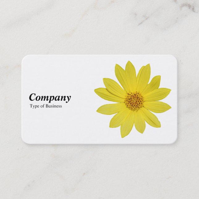 Helianthus 'Lemon Queen' Sunflower - White Business Card (Front)