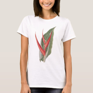 Heliconia 1800s Vintage Botanical T-Shirt