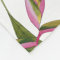 Heliconia Fleece Blanket