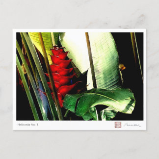 Heliconia No. 1 Postcard