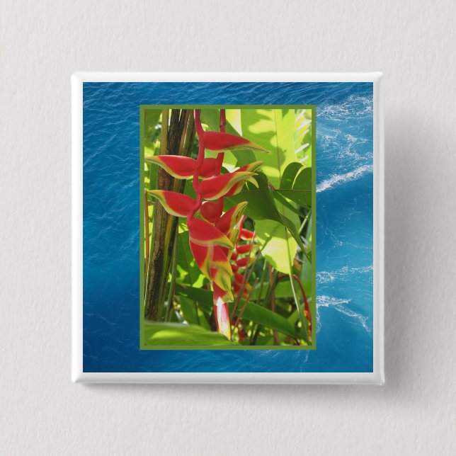Heliconia rostrata 2 inch square button (Front)