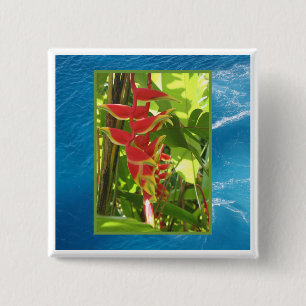 Heliconia rostrata 2 inch square button