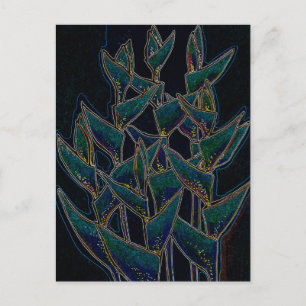 Heliconia Rostrata Tropical Flowers Floral Black Postcard