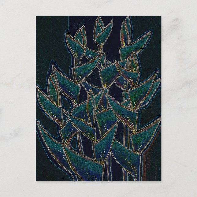 Heliconia Rostrata Tropical Flowers Floral Black Postcard (Front)