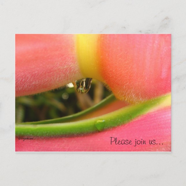 HeliconiaTropical Save the Date Wedding Cards (Front)