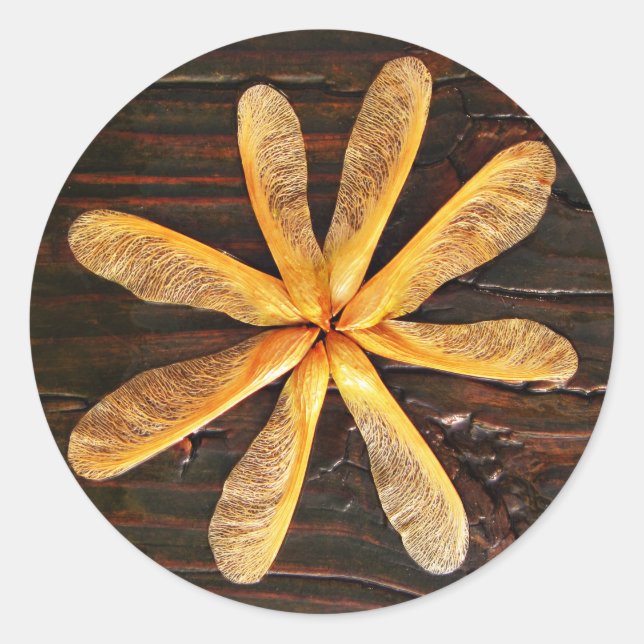 Helicopter Maple Tree Seedlings Circle Classic Round Sticker (Front)
