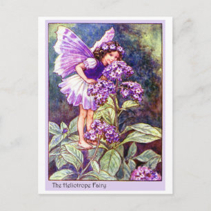Heliotrope Fairy Postcard
