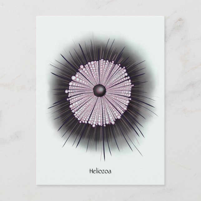 Heliozoa Microbiology Geek Digital Art Postcard (Front)