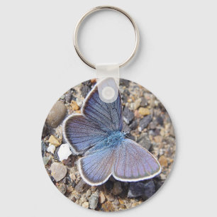 Hellblauer Schmetterling Keychain