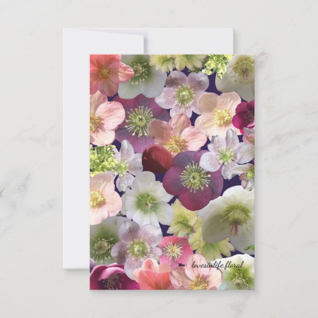 Hellebore Collage  Card (Front)