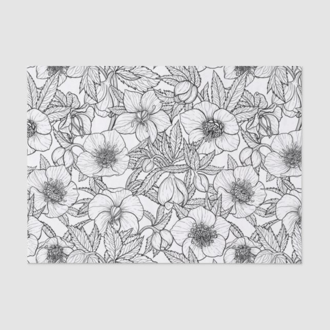 Hellebores in black and white tissue paper (Front)