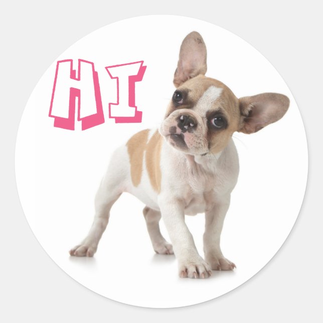 Helllo Hi French Bulldog Puppy Dog Sticker / Sceau (Devant)