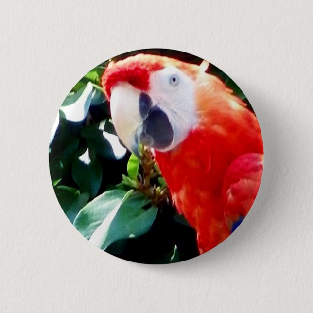 Hello_ 2 Inch Round Button (Front)