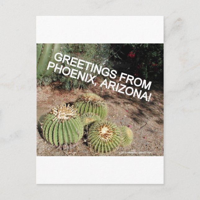 HELLO AND WELCOME TO PHOENIX ARIZONA POSTCARD (Front)