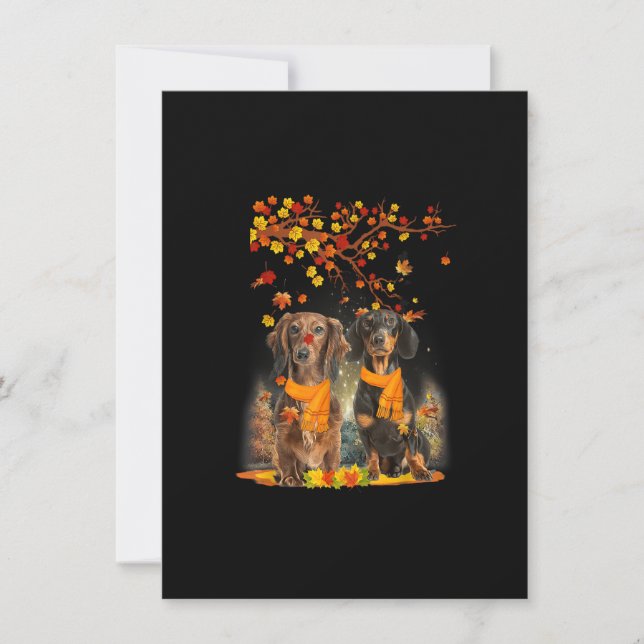 Hello Autumn Season Happy Thanksgiving Dachshund F Invitation (Front)