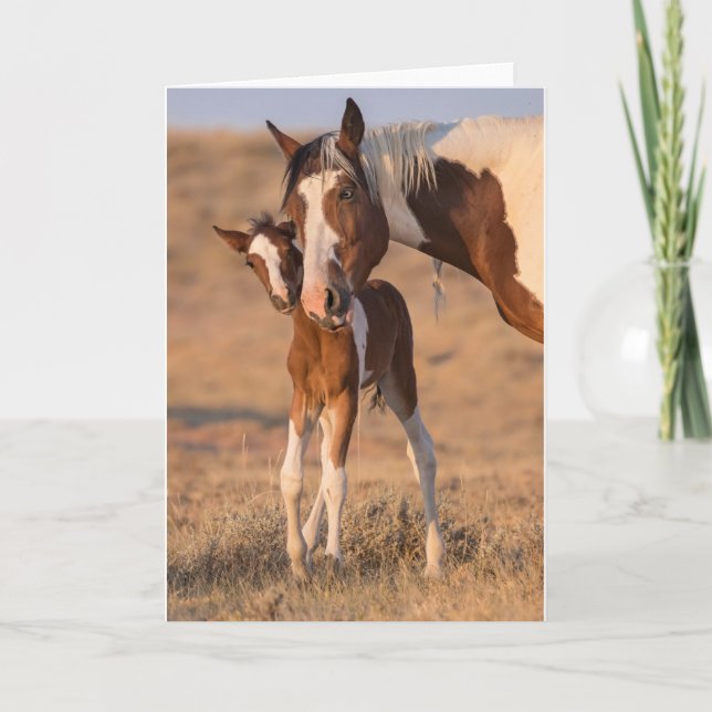 "Hello Baby" Note Card (Front)