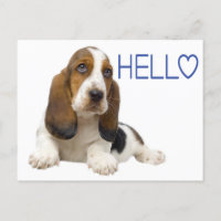 Hello Basset Hound Puppy Dog Blue Thinking of You