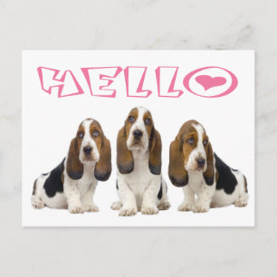 Hello Basset Hound Puppy Dog Pink Heart Postcard