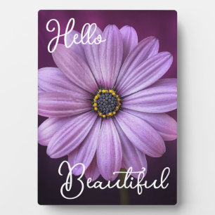 Hello Beautiful Purple Flower Plaque