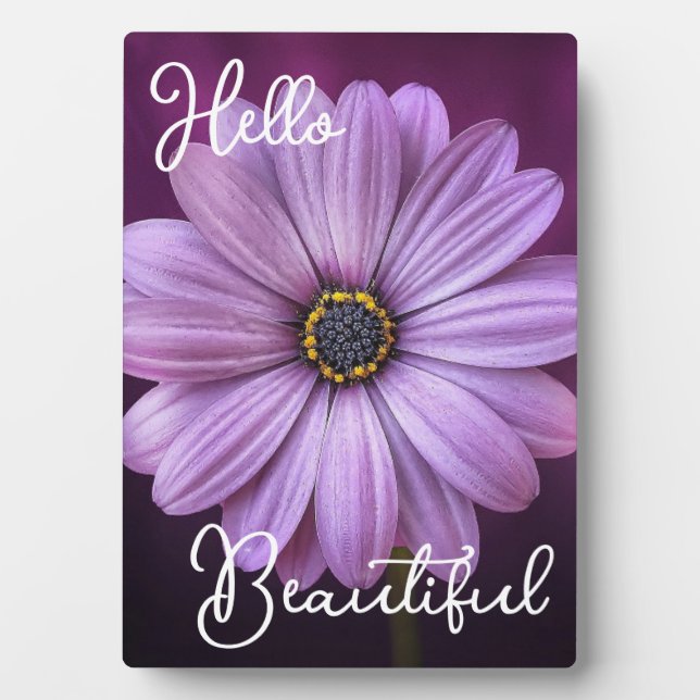 Hello Beautiful Purple Flower Plaque (Front)