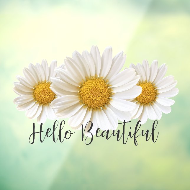 Hello Beautiful Three White Daisies Floral Window Cling (Sheet 3)
