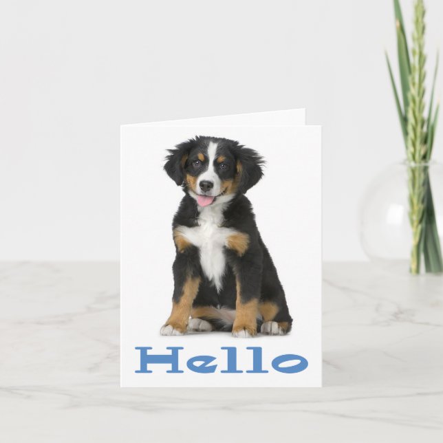 Hello Bernese Mountain Dog Puppy Dog Note Card (Front)